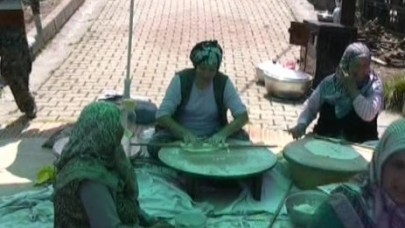 Şakayık festivali renkli geçti