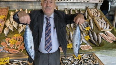 BALIKÇILARI PALAMUT KURTARDI