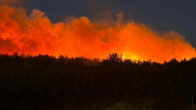Diyarbakır’da orman yangını