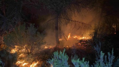 İstanbul'da orman yangını: Müdahale sürüyor