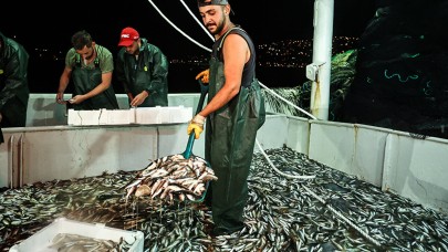 Yasak kalktı fiyatlar  düştü