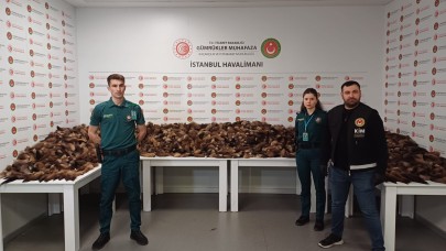 10 bin adet tilki kuyruğu ele geçirildi