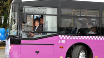 Erguvanlar İstanbul yollarında