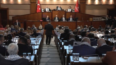 8 ilçenin bütçesi onaylandı