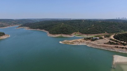 10 GÜN İÇİNDE YÜZDE 7 ARTIŞ!