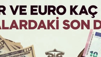 1 dolar kaç TL? 29 Kasım 2023 dolar, euro, gram ve çeyrek altın kaç TL?