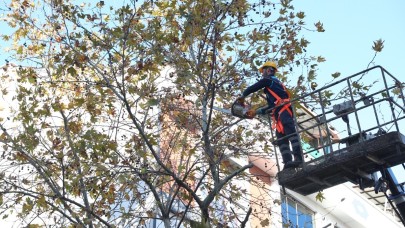 Bir taşla iki kuş!