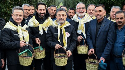 Zeytinde spekülasyona kanmayın!