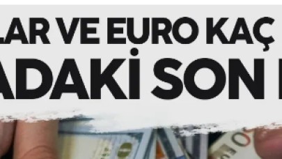 1 dolar kaç TL? 11 Ocak 2024 güncel döviz kuru dolar, euro, gram ve çeyrek altın fiyatları