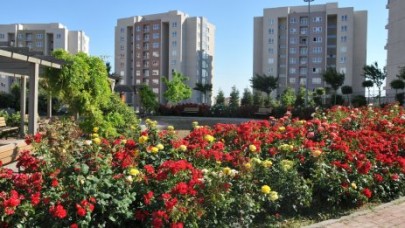 Beylikdüzü mis gibi gül kokuyor…