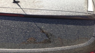 İstanbul’a çamur yağdı