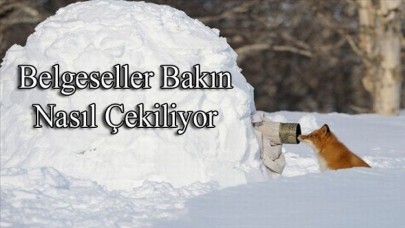 Belgeseller bakın nasıl çekiliyor