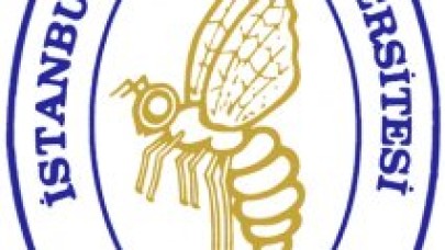 Ada’ya üniversite çıkarması