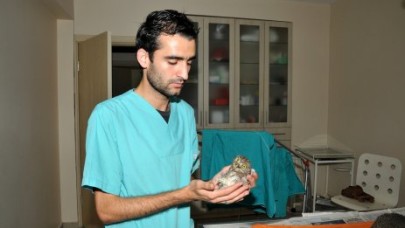 Beylikdüzü Belediyesi’nden hayvanlara şefkat eli