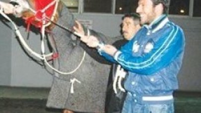 Yarış atı alıp şike yapmış