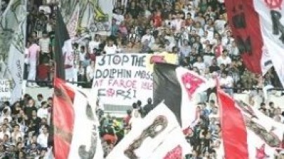 Arının temizlenin öyle gelin