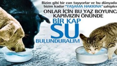 Evinizin önüne bir kap su koyun