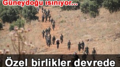 Sınırda hareketli anlar...