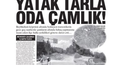 YATAK TARLA ODA ÇAMLIK!