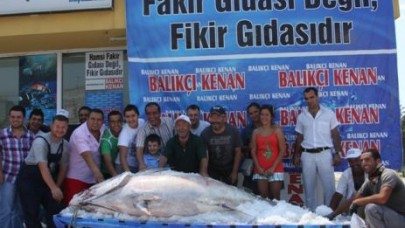 1 TONLUK TONBALIĞI!