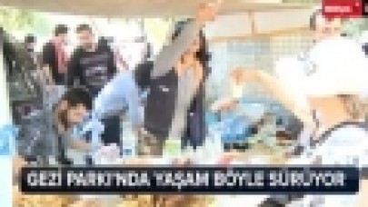 Gezi Parkı'nda yaşam böyle sürüyor
