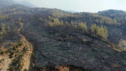 Köyceğiz orman yangını yürekleri dağladı.