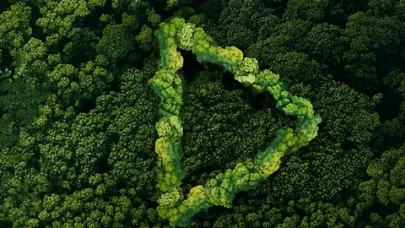 Yeşil Vatan Kısa Film Yarışması’nda finalistler belli oldu