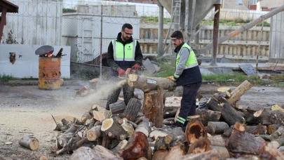 Budama çalışmalarından yakacak elde ediliyor