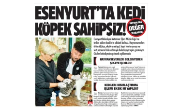 ESENYURT'TA KEDİ KÖPEK SAHİPSİZ!