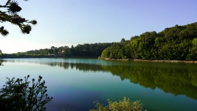 Su,Orman: Doğanın, Refahın,Eşitliğin Temel Taşları