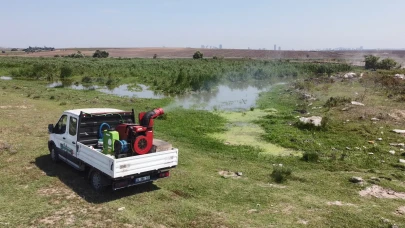 İBB’den yaz öncesi sivrisinek seferberliği