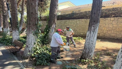 Beylikdüzü'nde Park Yenileme Çalışması