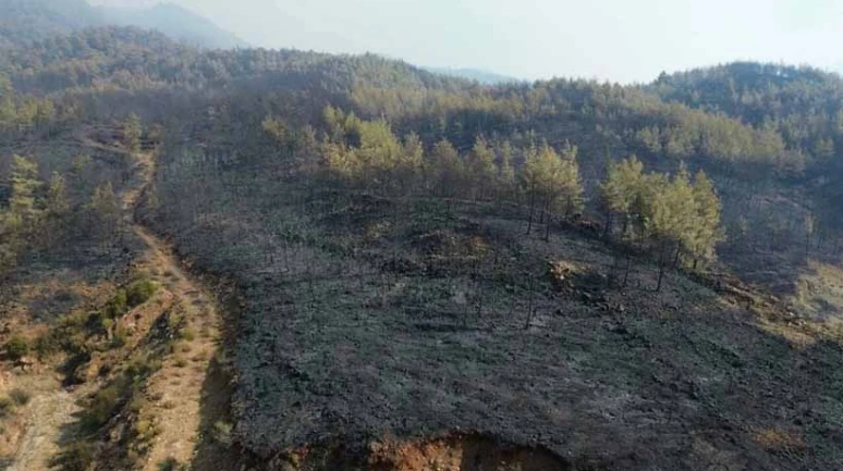 Köyceğiz orman yangını yürekleri dağladı.