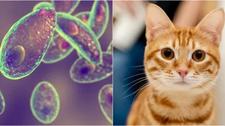 Kişisel hijyen en önemli korunma yöntemi