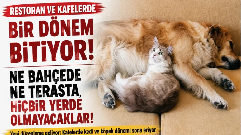 Restoran ve kafelerde bahçede de terasta da yasak