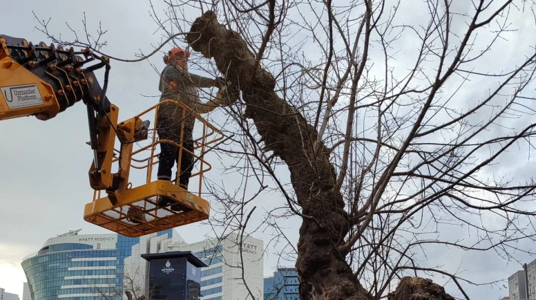 İSTANBUL’DA LODOS ETKİLİ OLUYOR