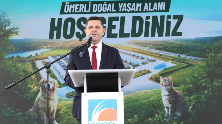Çekmeköy'de sokak hayvanları için örnek proje