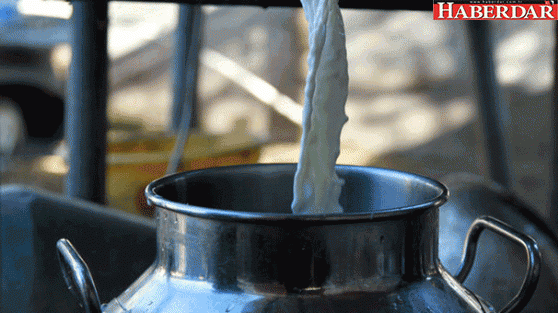 Çiğ süt satışında düzenlemeye gidildi