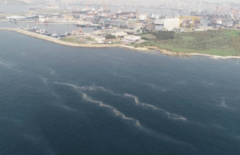 Marmara Denizi'nde müsilaj açıklaması! 'Umut...