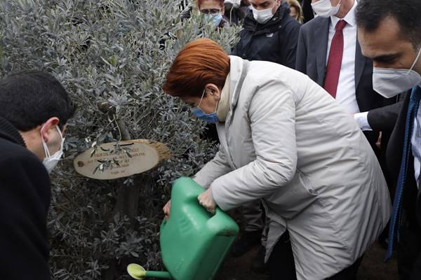 382 sağlık çalışanı anısına zeytin ağacı dikildi